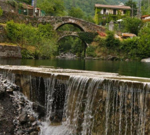 Il regno invisibile, Savino Del Giudice